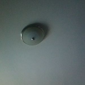 Meet your Posher, Natasha